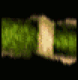 Green Snake Skin.png