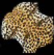 Leopard Fur.png