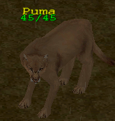 Creature puma.png