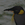 King Penguin 25px.png