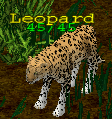 Creature leopard.png