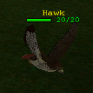 Creature hawk.png