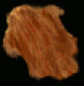 Bear Fur.png