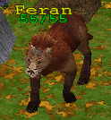 Creature Feran.png