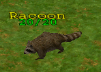 Creature raccoon.png