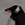 Gentoo Penguin 25px.png