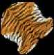 Tiger Fur.png